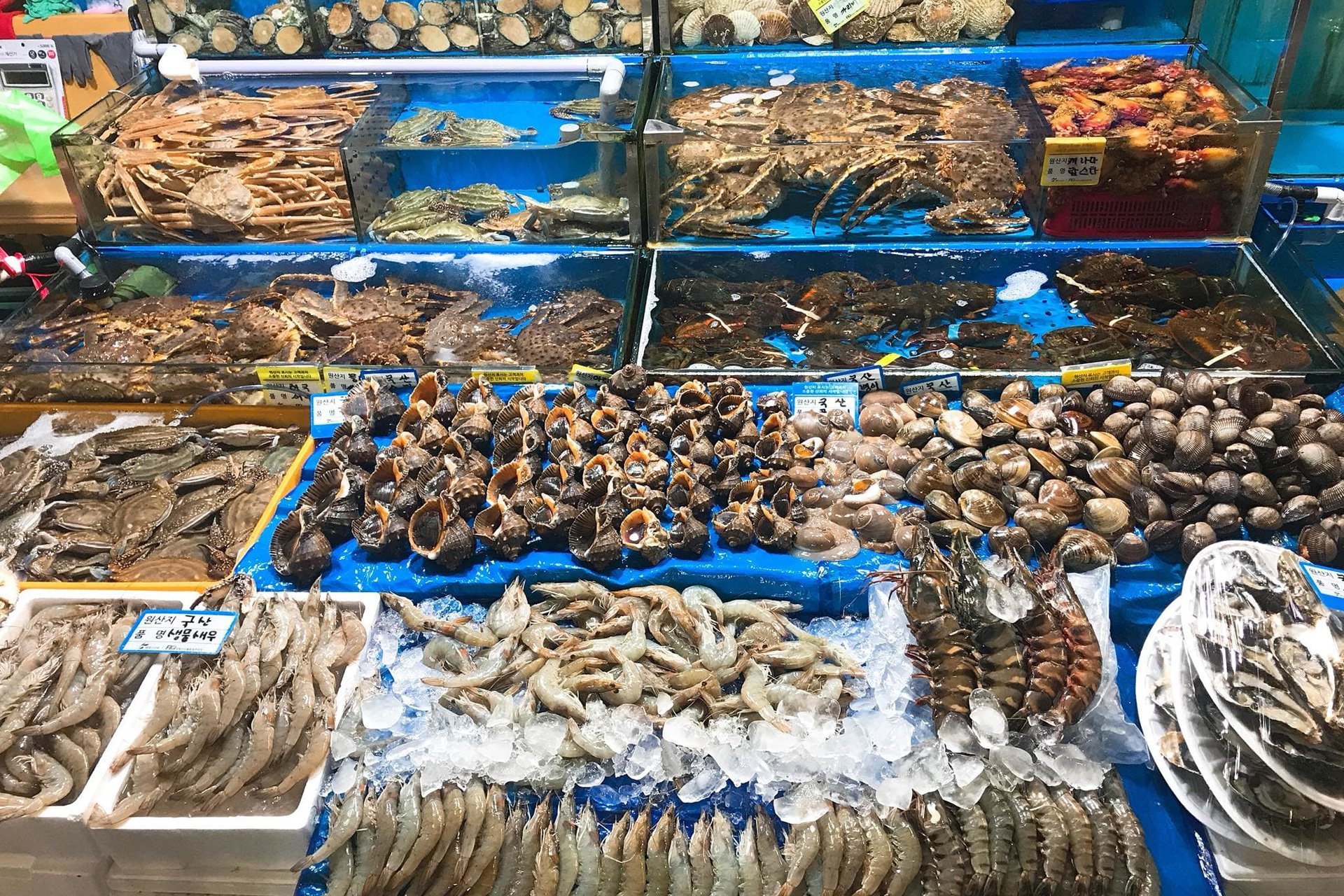 Trải nghiệm du lịch ẩm thực